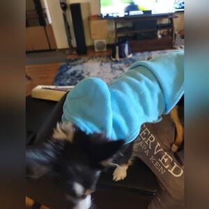 Dog Hoodie with Pocket, Polar Fleece Dog Sweatshirt Fall Cold Winter Sleeveless